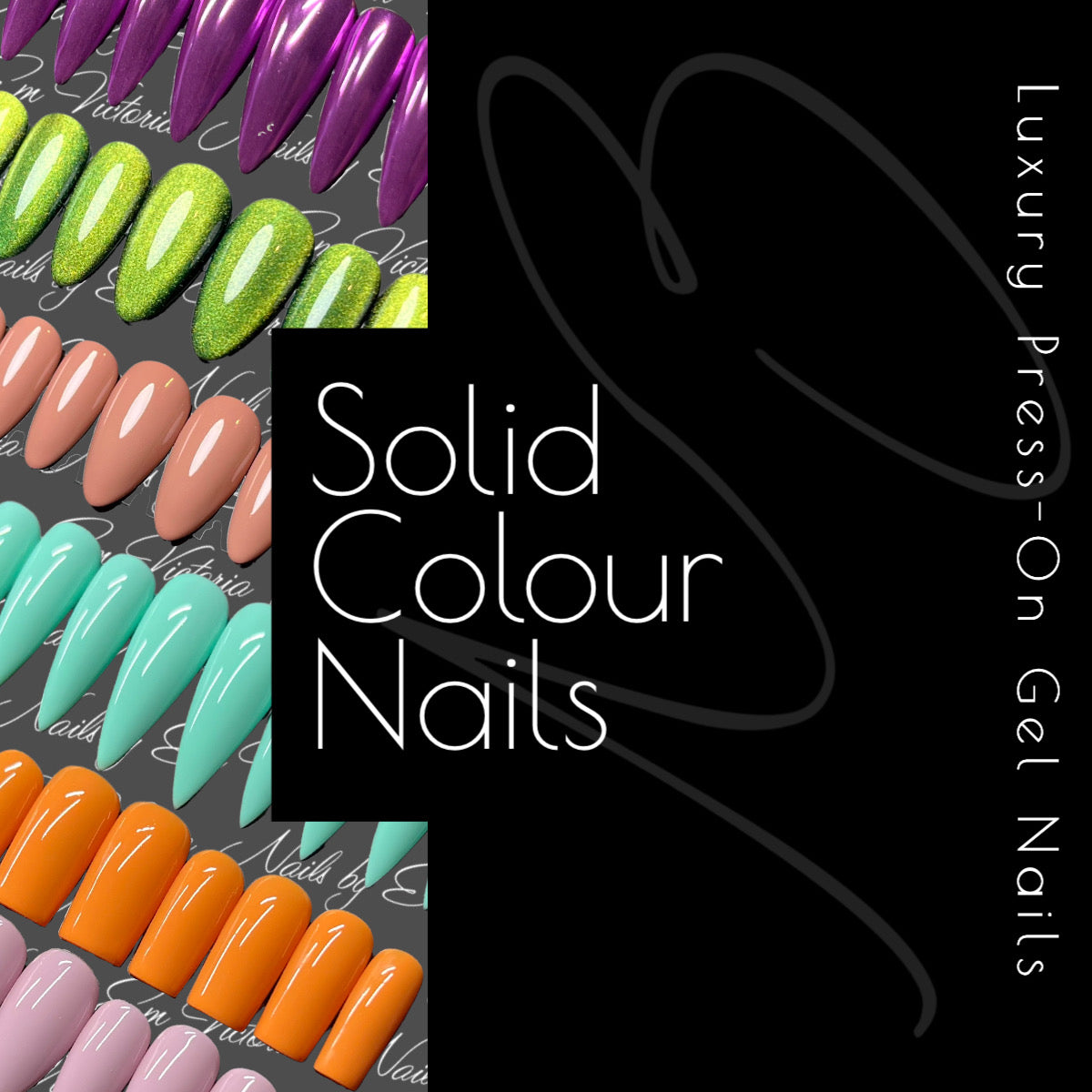 Solid Colour
